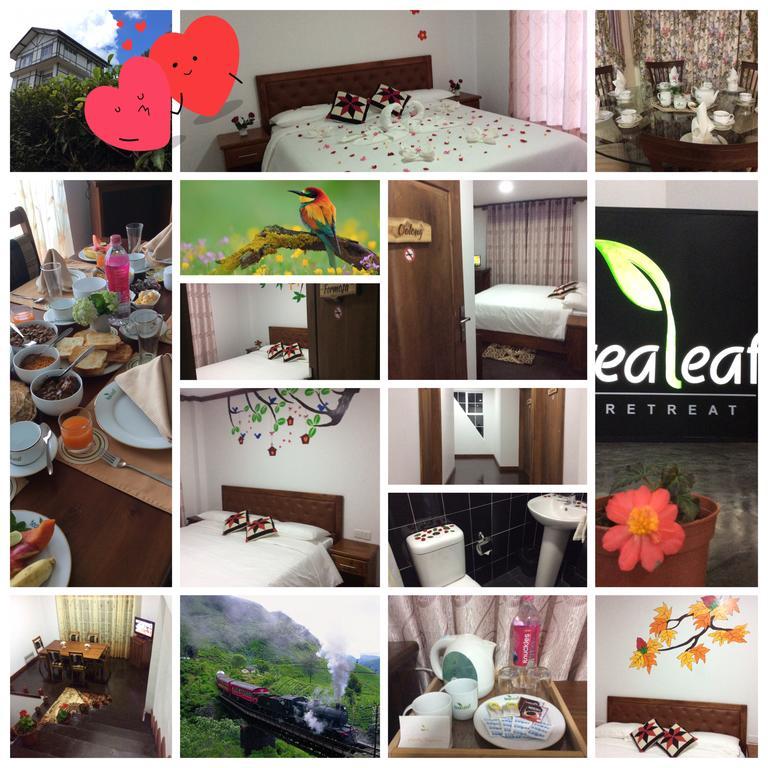 누와라 엘리야 Tealeaf B&B 외부 사진