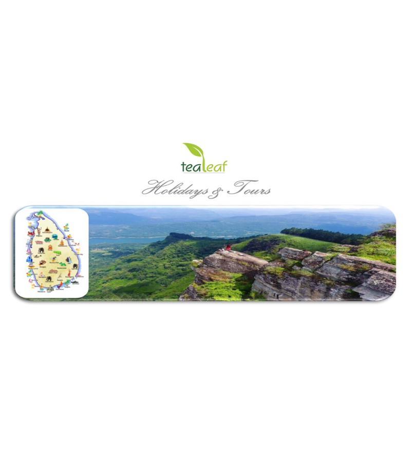 누와라 엘리야 Tealeaf B&B 외부 사진